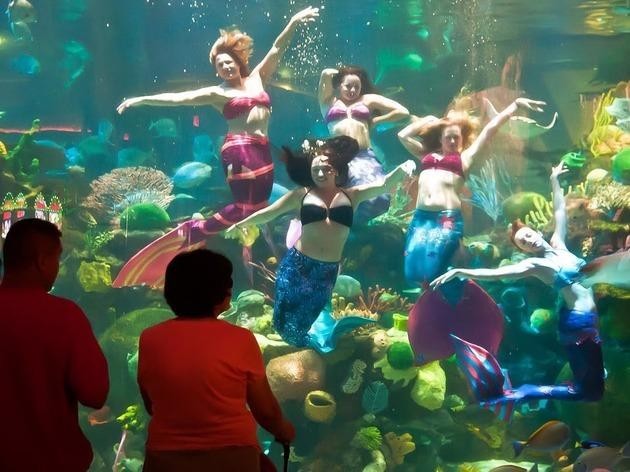 The Mermaid Lounge